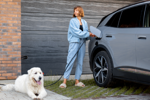 Person charging their car while a dog waiting